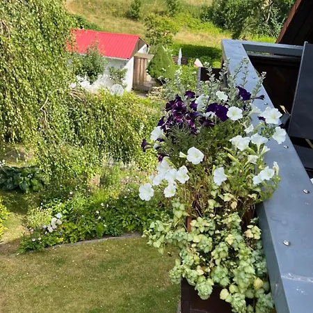 Ferienwohnung Stockrose