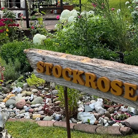 Stockrose * Lohme